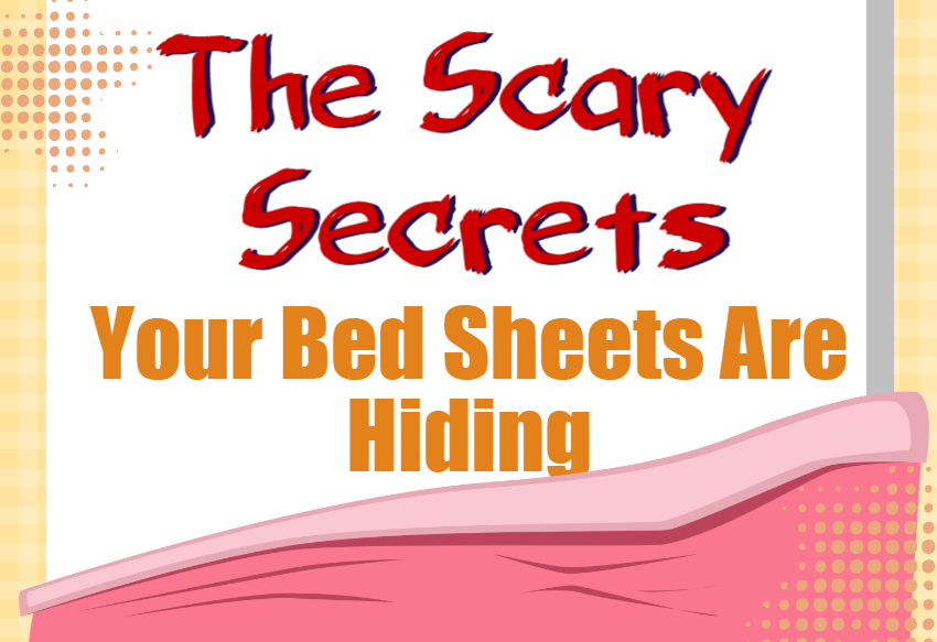 Bed Sheets Infographics