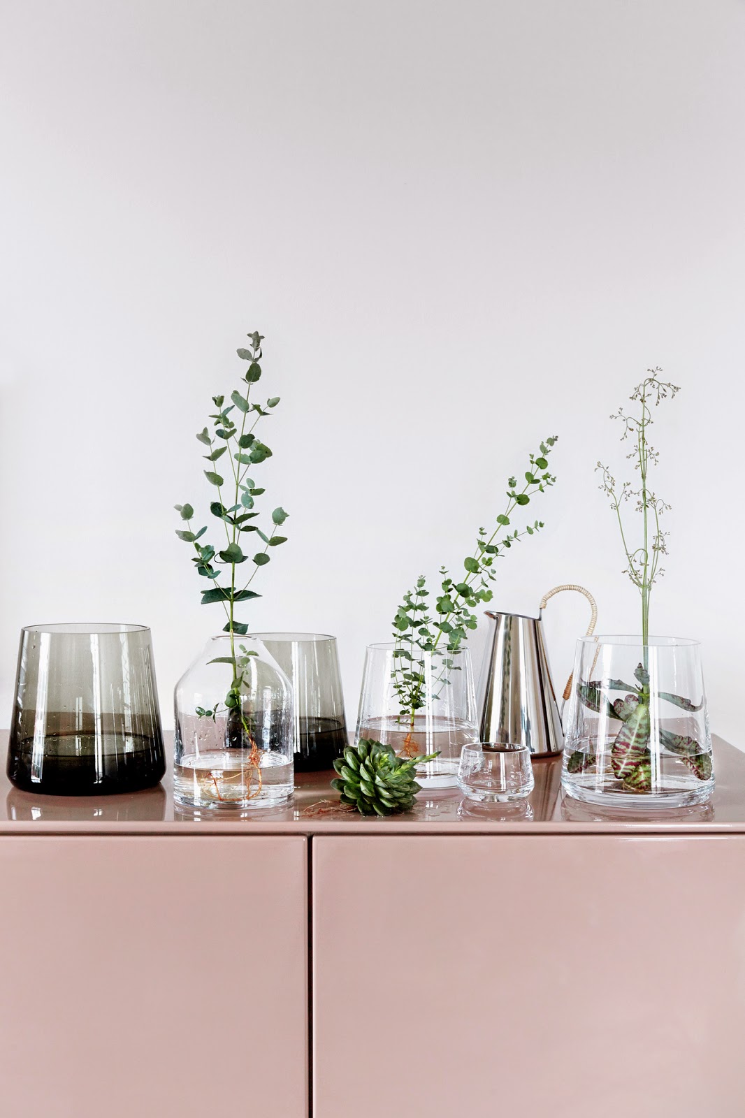 7 Different Way to Indoor Plants Decoration Ideas in Living Room