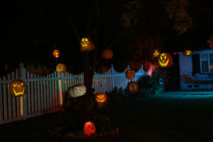 24 Indoor & Outdoor Tree Halloween Decorations Ideas