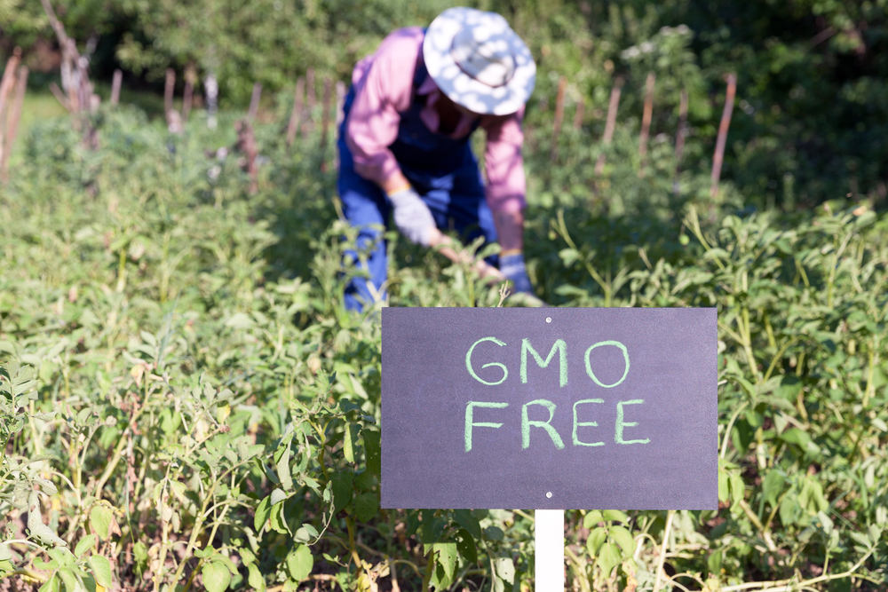 How to Avoid GMO Products in Your Garden