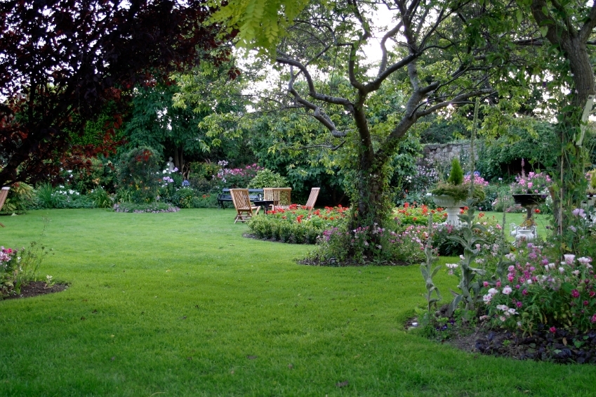 garden with beautiful lawn