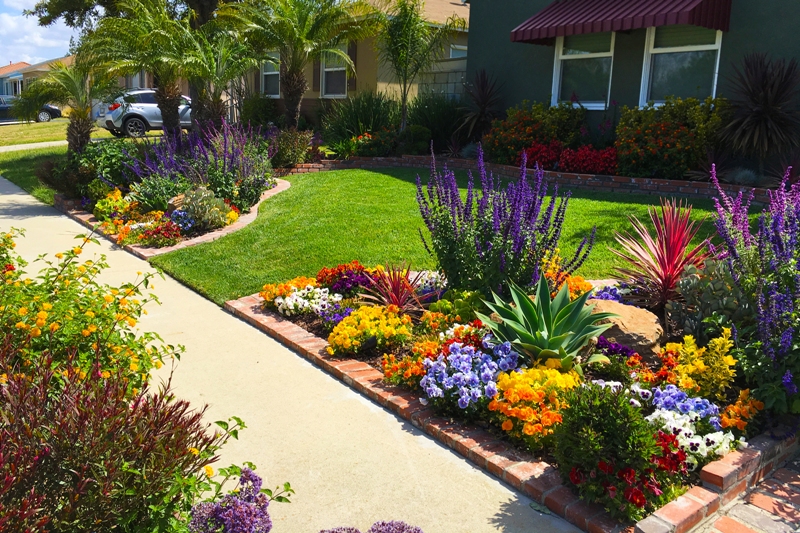 Front Yard Landscaping