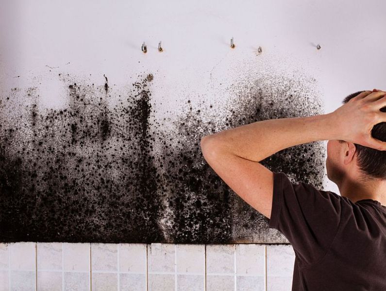 man shocked to mold a kitchen cabinet.