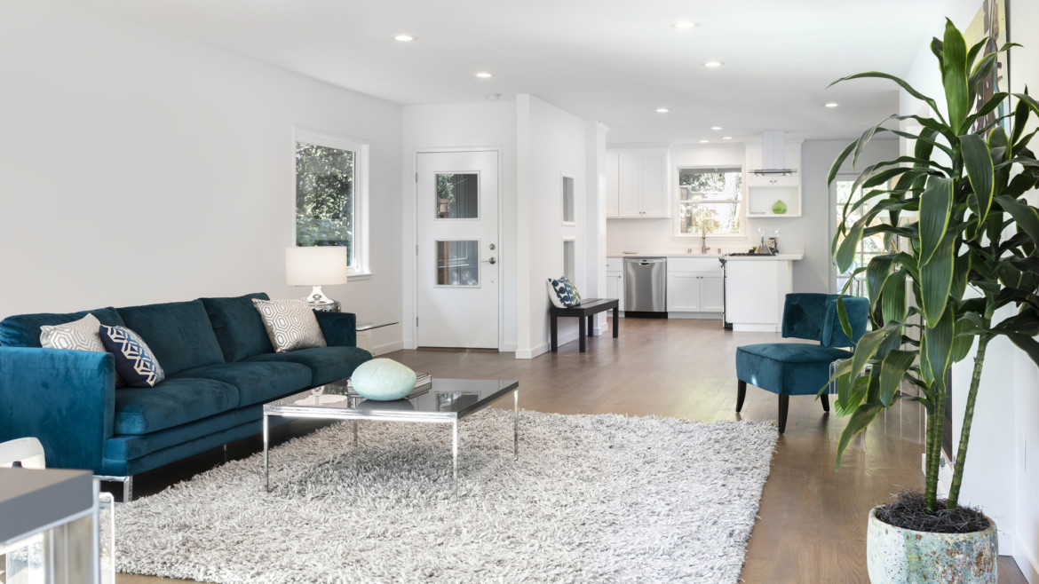 Beautiful and large living room interior with hardwood floors, fluffy rug and designer furniture.