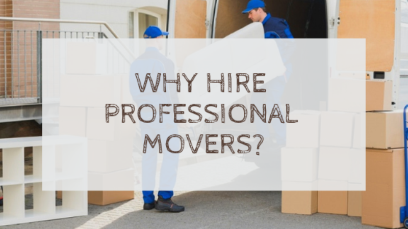 Professional Movers_