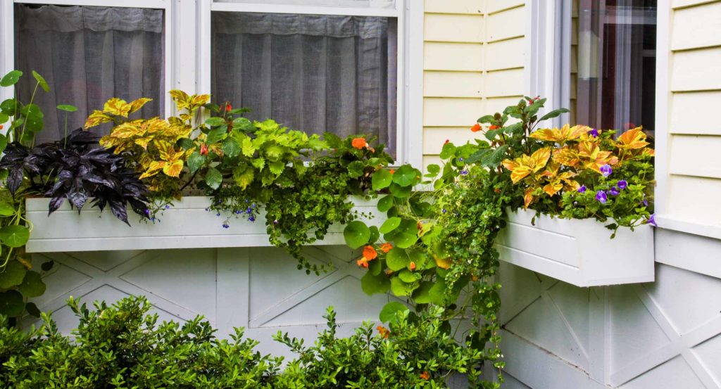 window_planter_boxes_