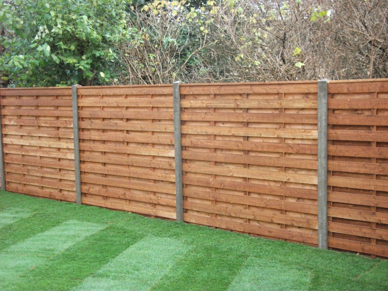 Backyard Fence