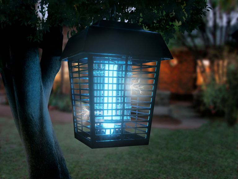 Bug Zapper