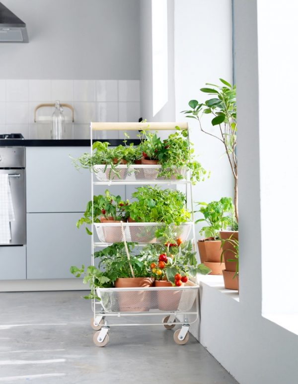 Kitchen Flower herbs plant stands