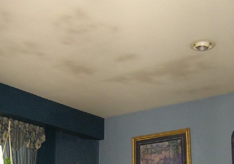 What are Some Plastering Problems and Ways to Identify Them