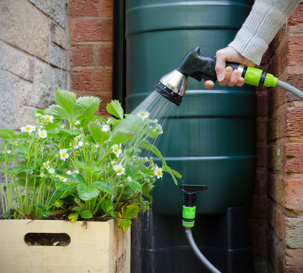 11 Ways To Harvest Rainwater, How To Water Your Garden With Rainwater