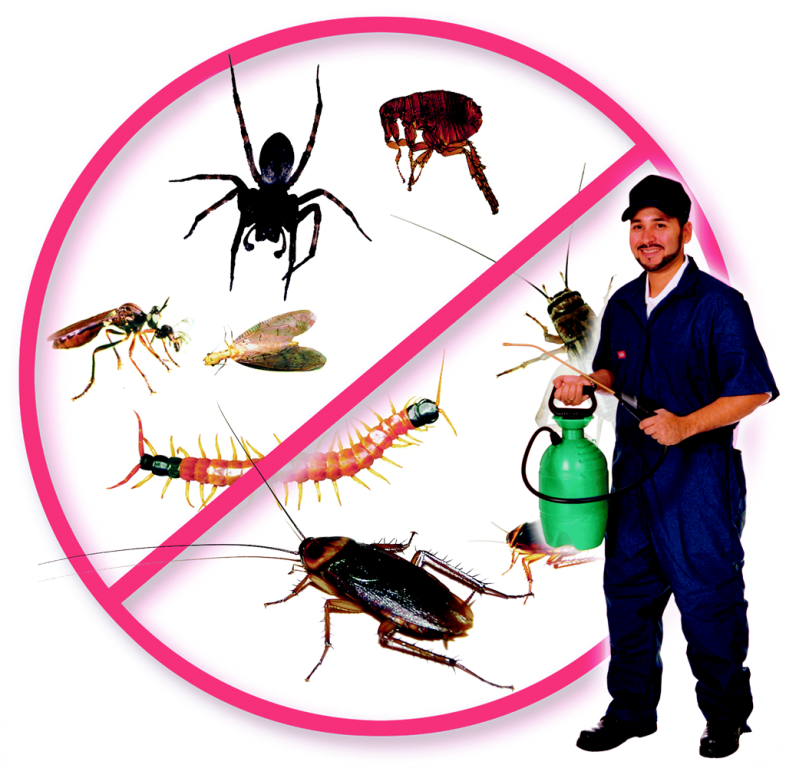 Pest Control Services Company