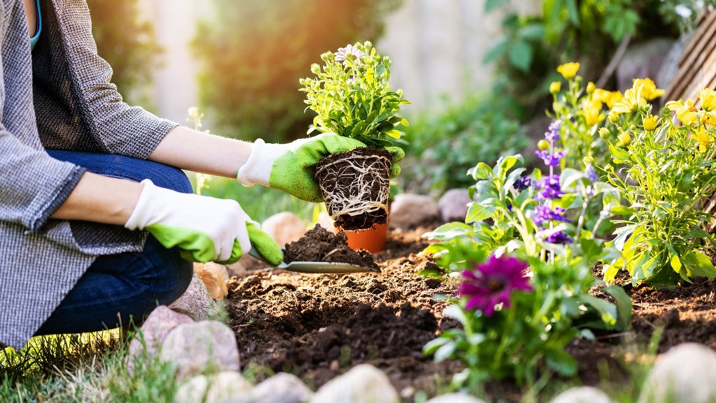 Top Gardening