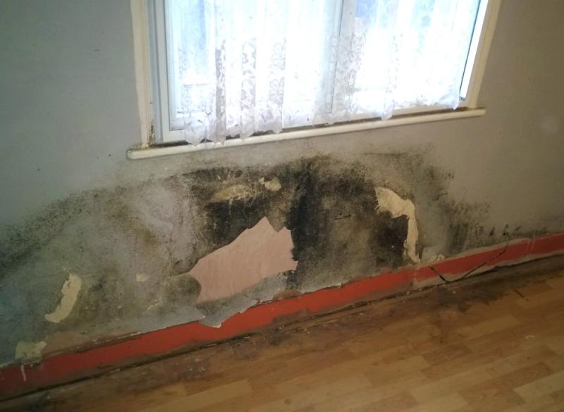 Distinguishing Rising Damp