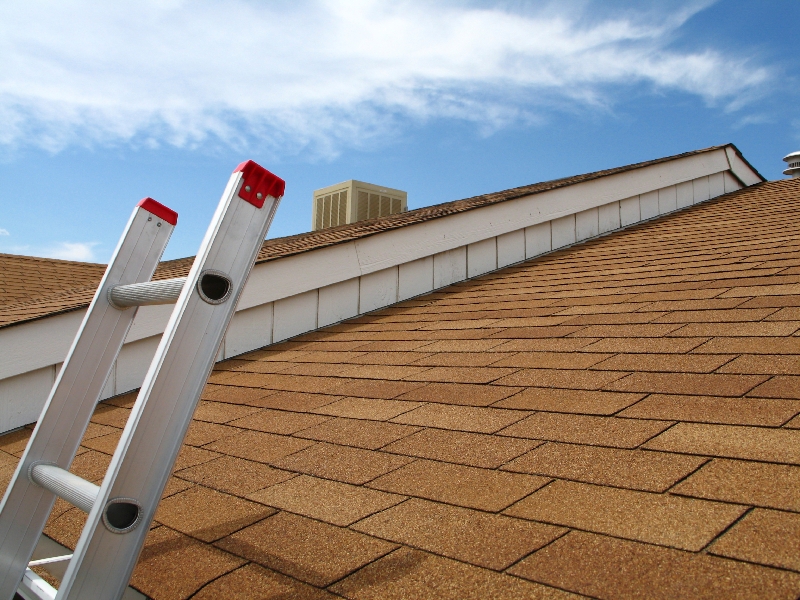 Maintaining Your Roof