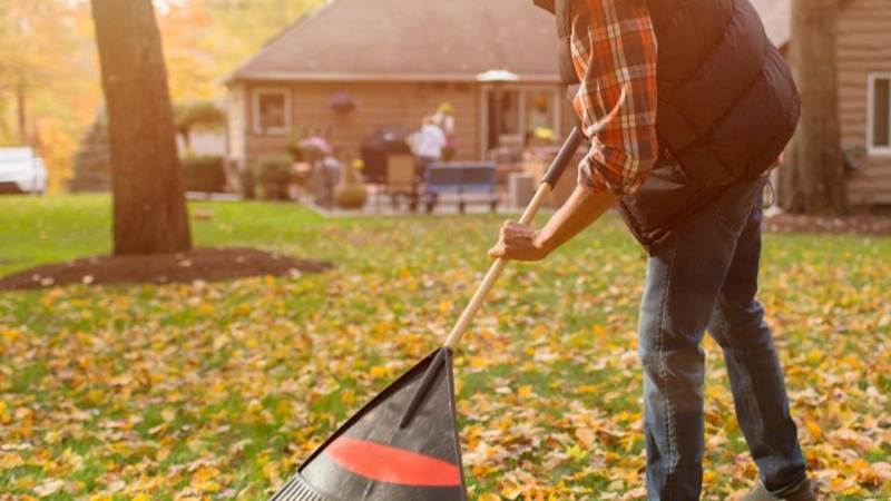 Homeowners Blow the Leaves off Their Lawn