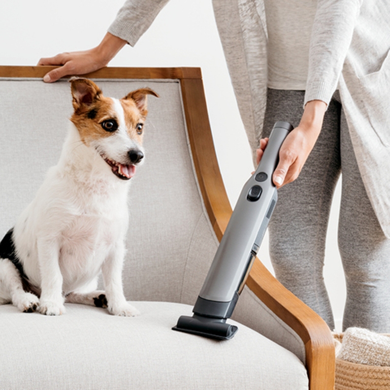 How To Remove Pet Hair From Furniture Floors More Residence