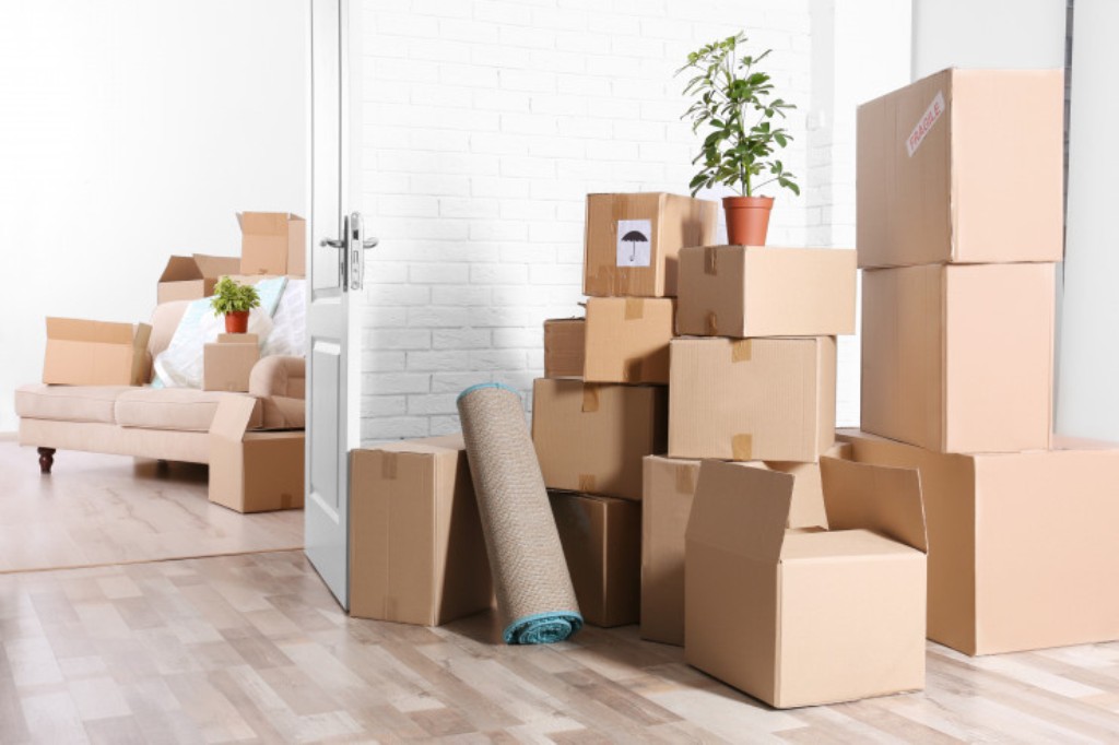 Stay Organized During a Move