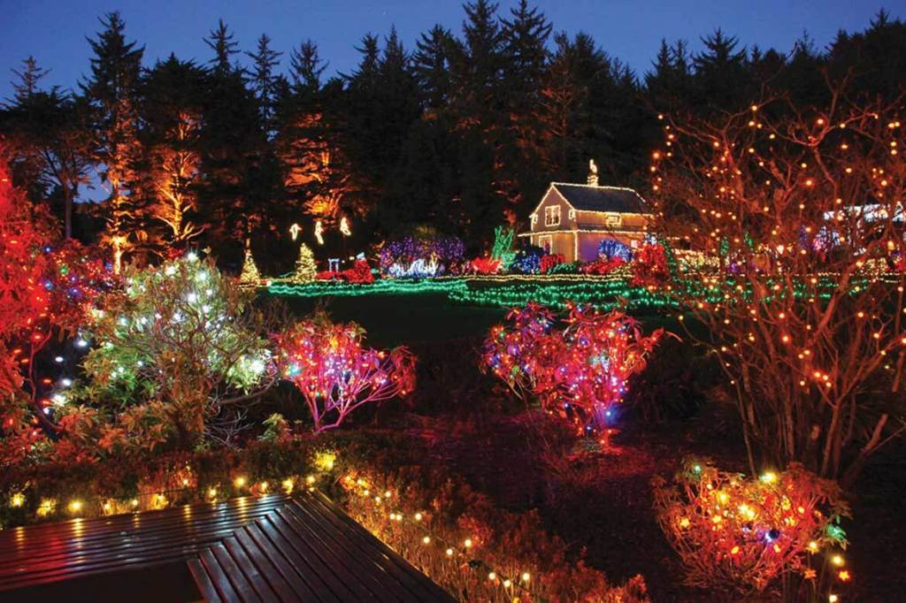 lighting to Decorate Parks and Gardens