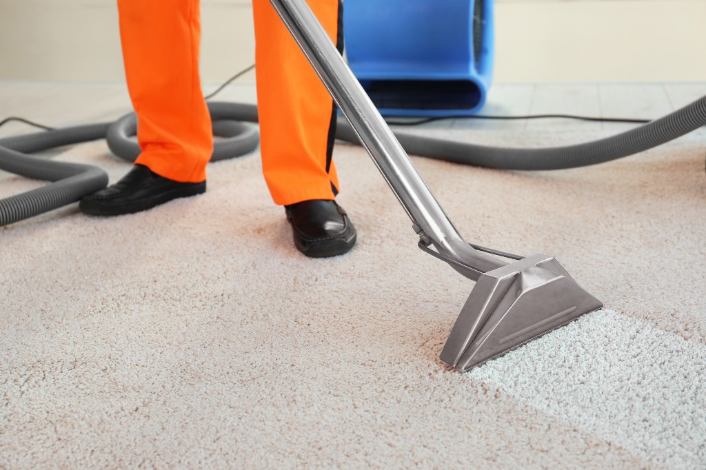 Clean Your Carpets