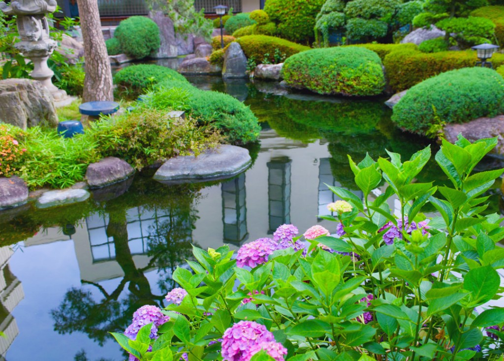 Water Garden