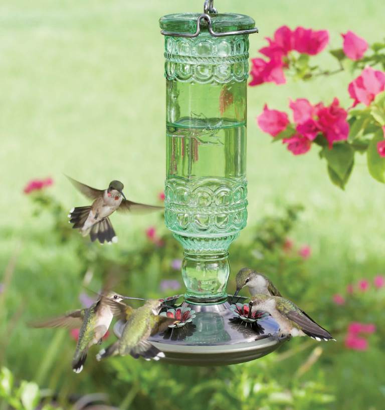 Hummingbird Feeders