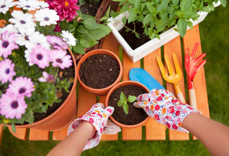 Planters And Baskets In The Landscape