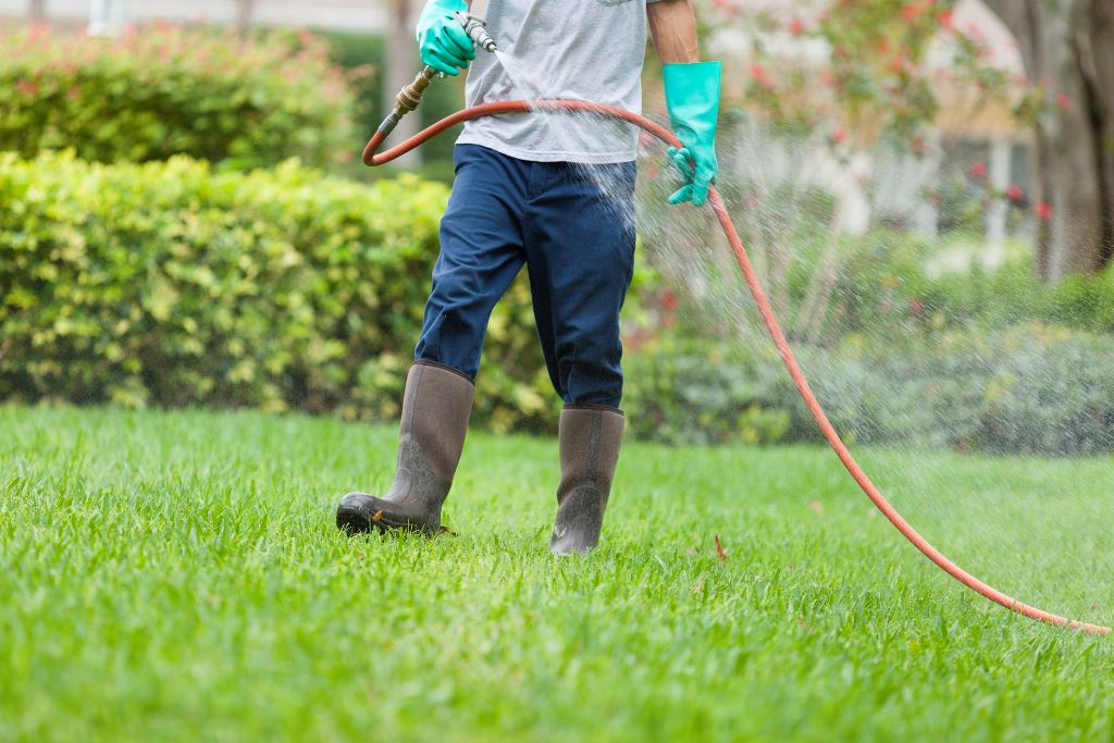 Protect Your Lawn from Pests