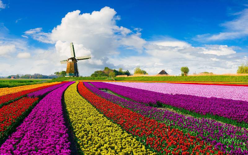 Holland