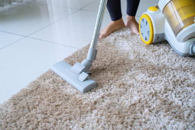 Why Should You Clean Your Carpets Regularly? » Residence Style