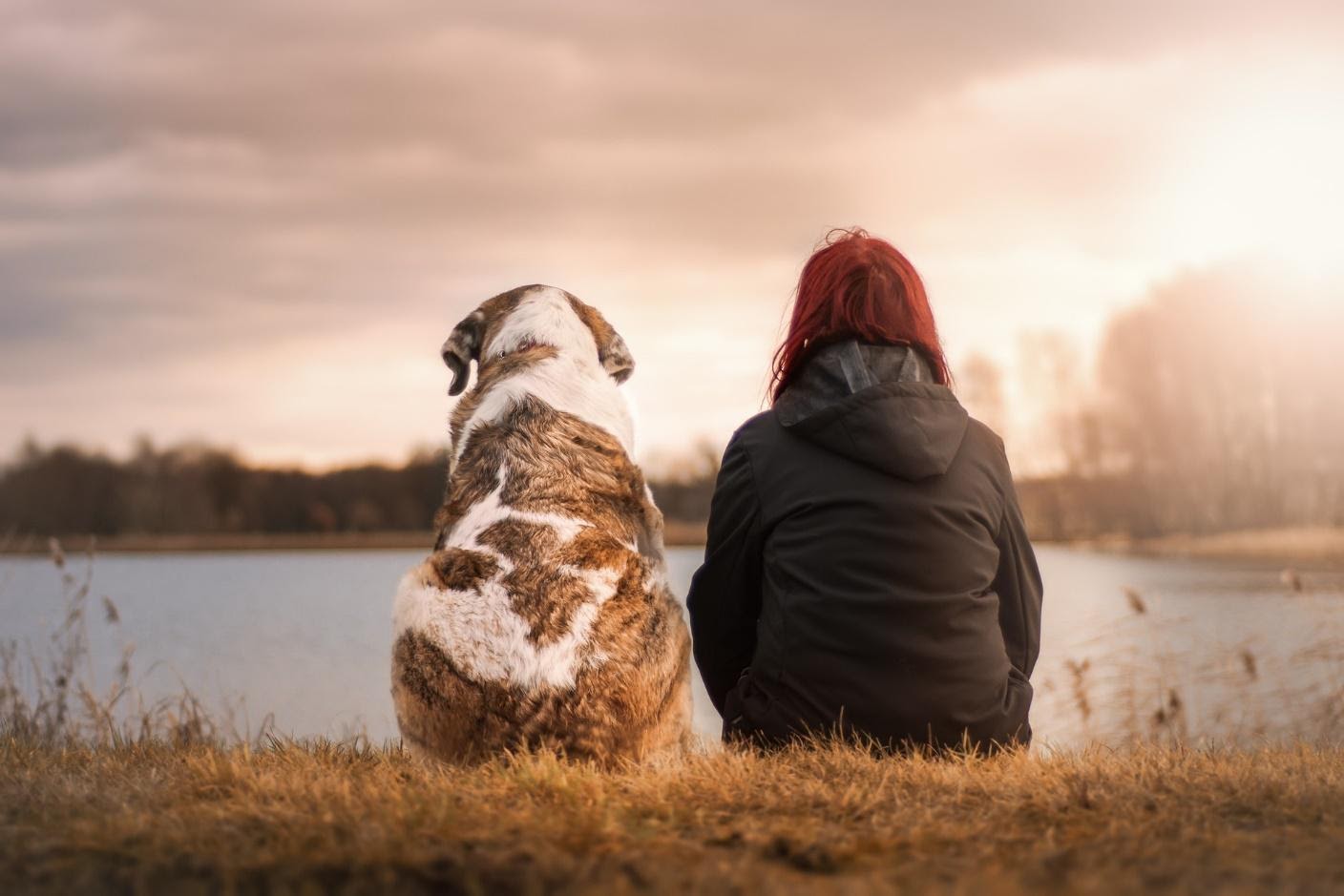 Landlords Cannot Use to Deny Emotional