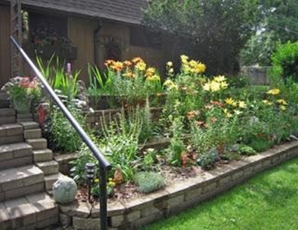 Your Home Garden
