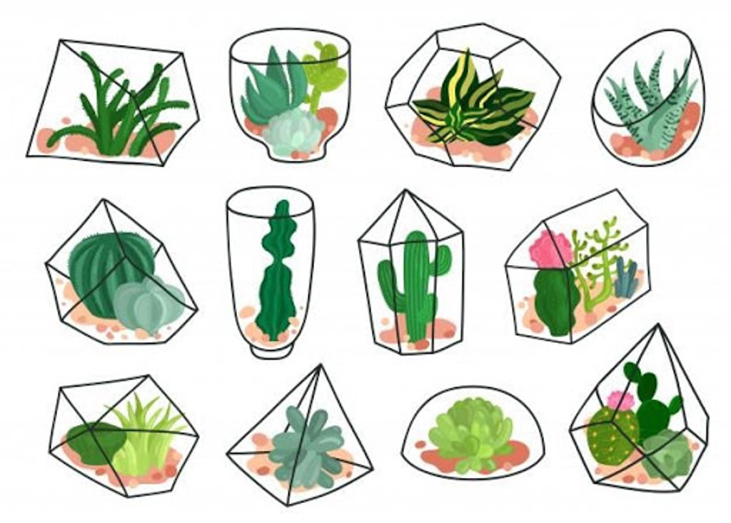 Mini Greenhouses