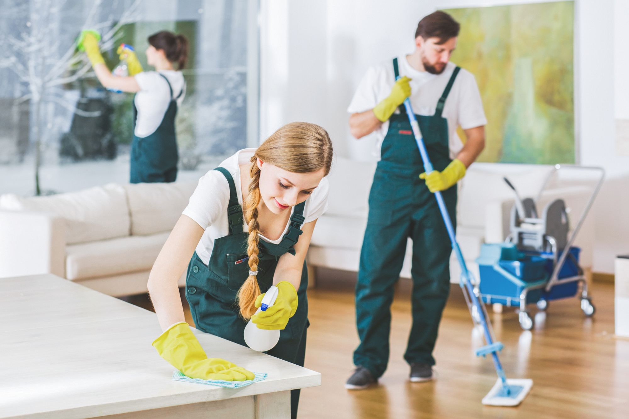 Ways to choose The Very Best Carpet Cleaning Pros