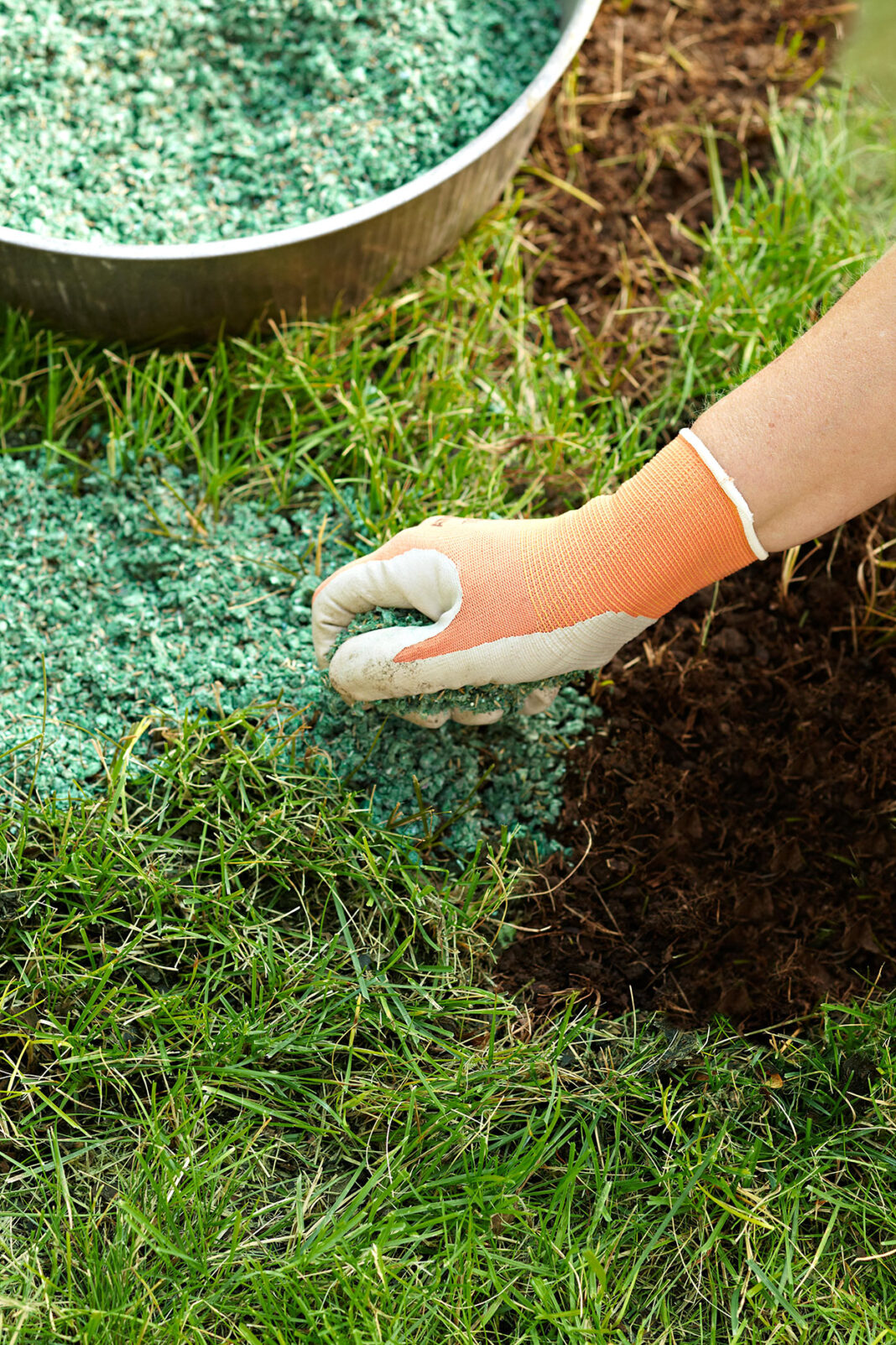 Top Lawn Fertilizing Techniques And How They Help Your Lawn Grow All