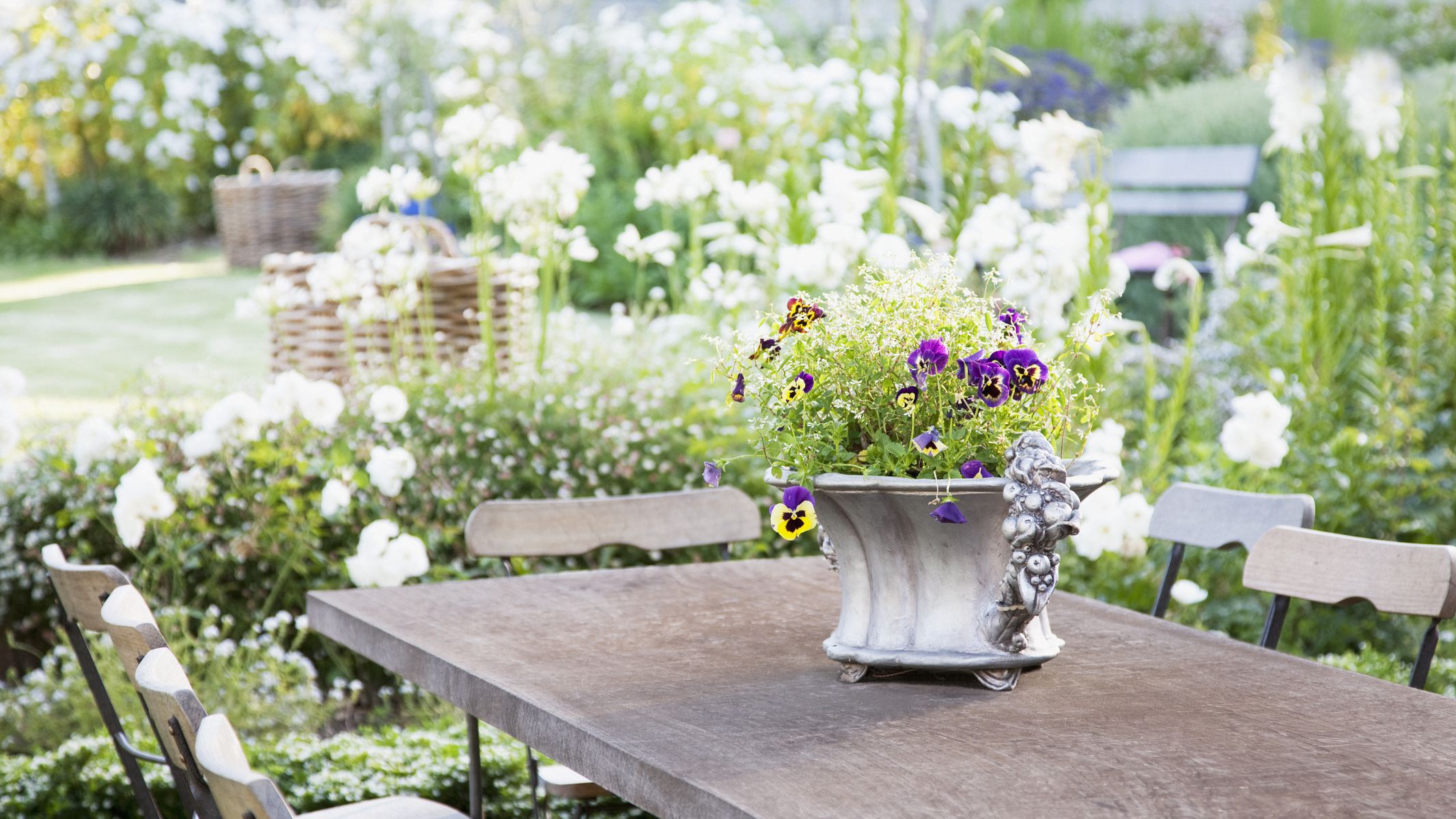 Plants and Flowers