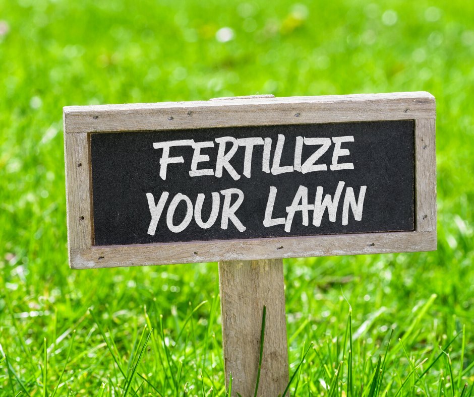 Fertilizing Your Lawn1