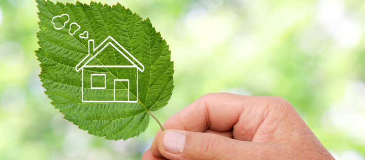 Eco-Friendly Tips for Your Household1