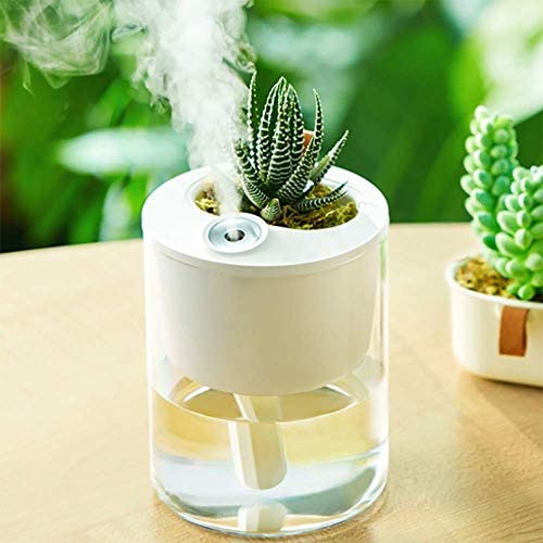 Humidifier For Plants3