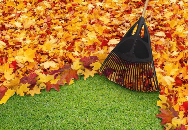 Perform a Fall Cleanup