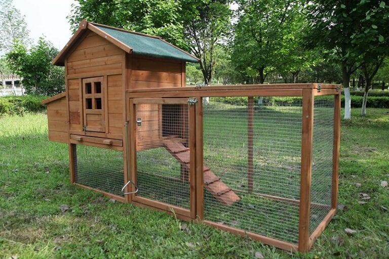 Building a Chicken Coop Beginners Guide » Residence Style