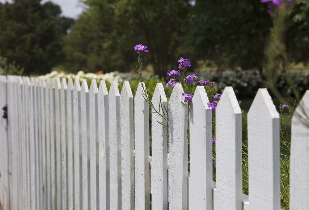 Install a Fence2