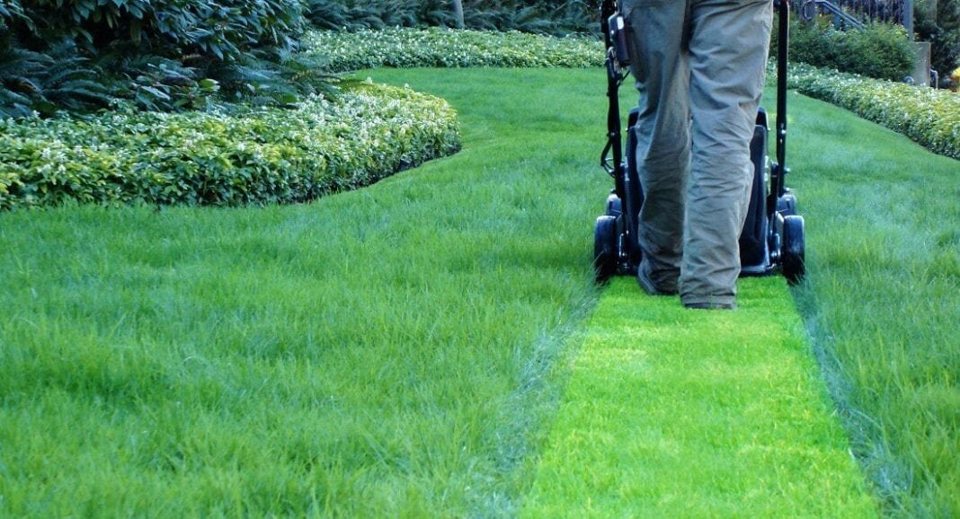 How to Select a Proper Lawn Mower for the Yard » Residence Style