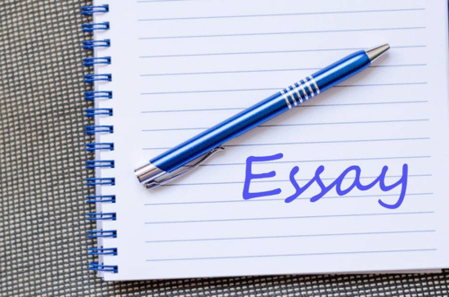 Top 10 Tips To Grow Your essay writer