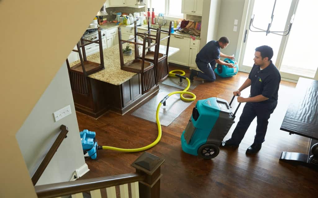 Best 5 Tips to Pick a Reliable Water Damage Restoration Company » Residence Style