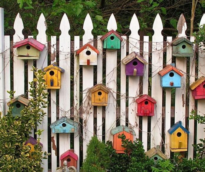 Birdhouse for your backyard2
