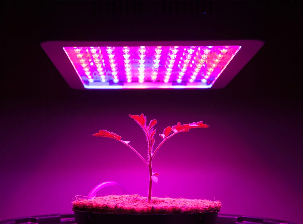 LED grow lights1
