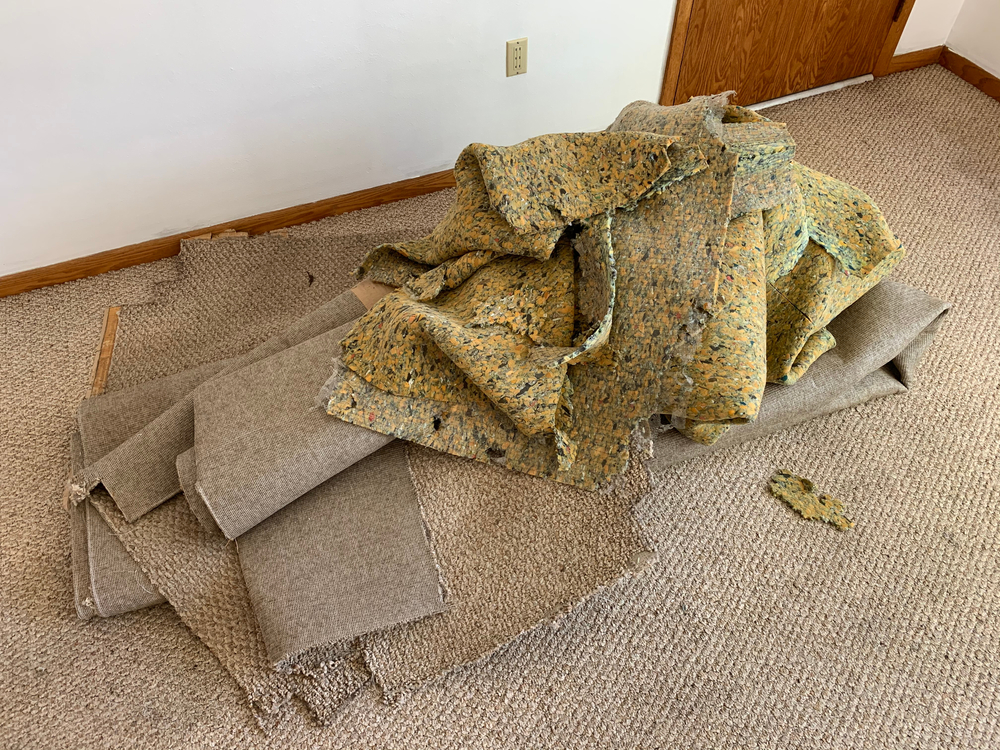 Getting Rid of Your Old Carpet