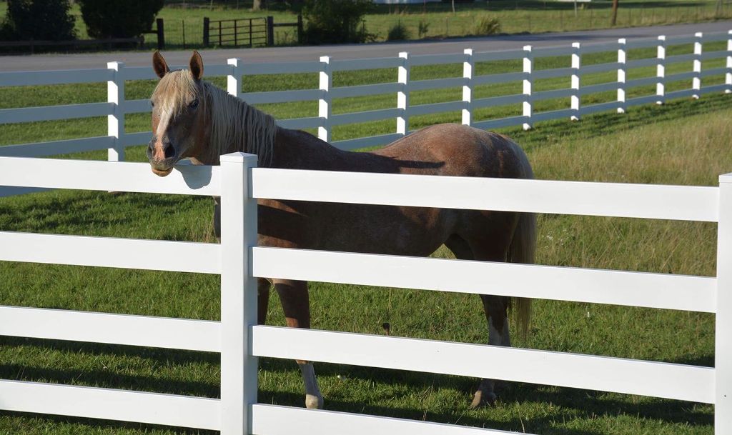 Vinyl Equestrian Fencing1