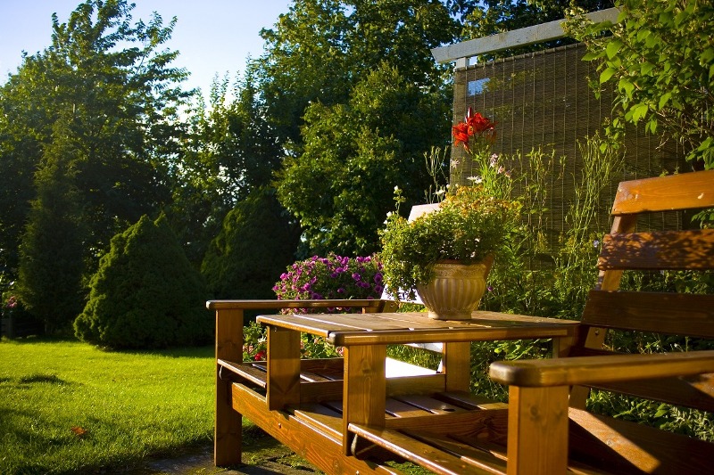 Create An Eco-Friendly Backyard
